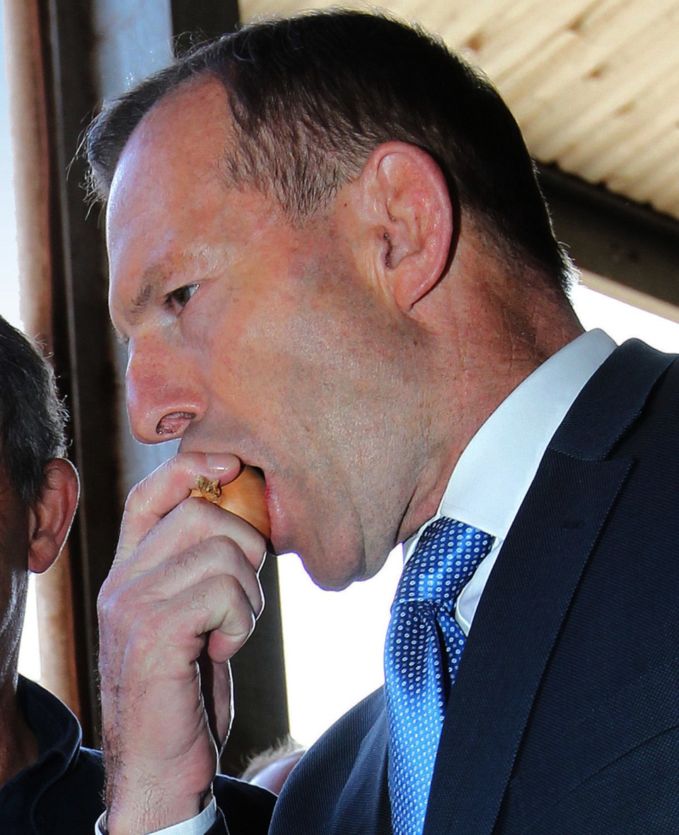Former Australia's PM, Tony Abbott eating a raw onion, his signature snack. Picture by Chris Kidd | AP
